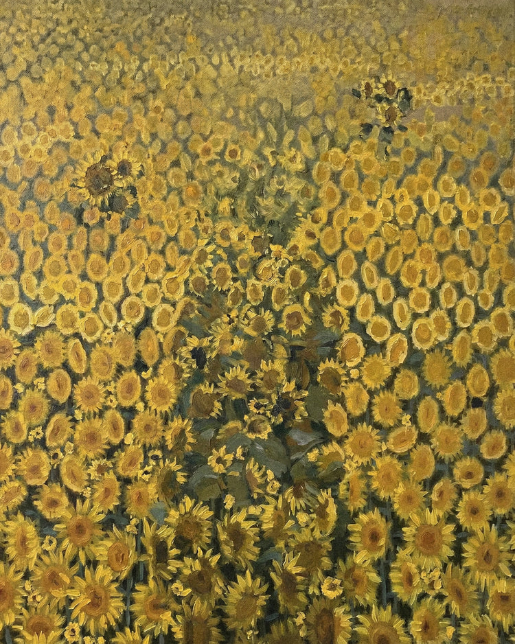 Golden Field