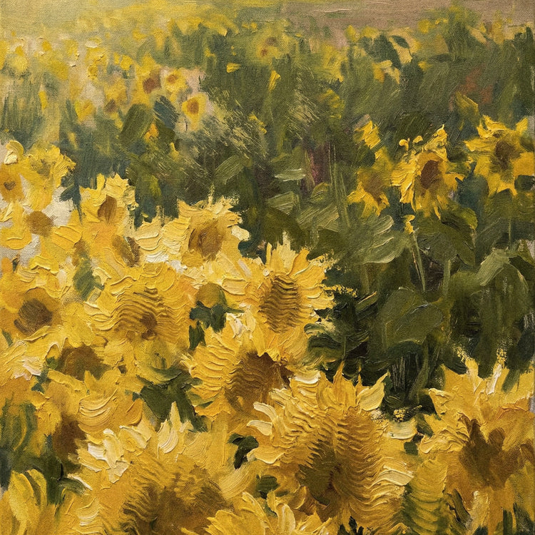 Sunflower Haze