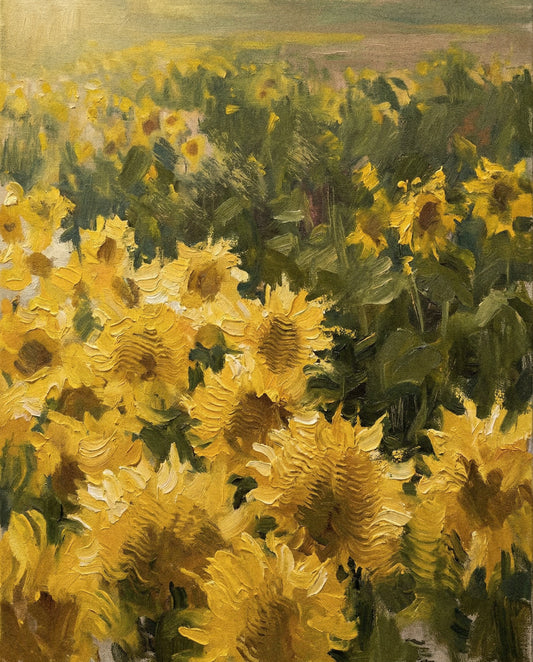 Sunflower Haze
