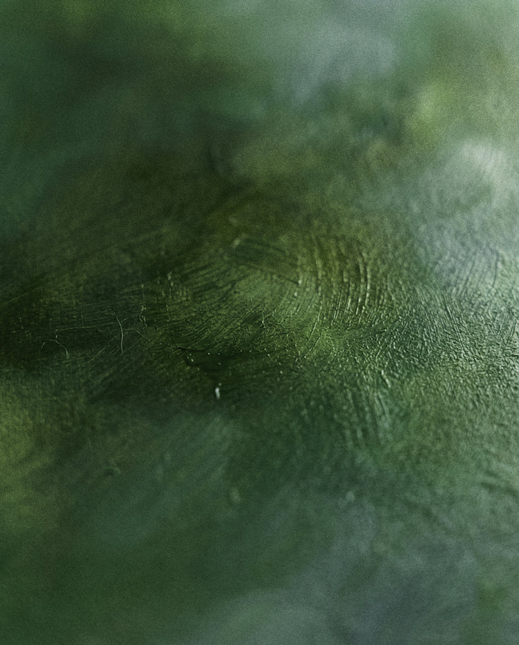 Forest Cloud